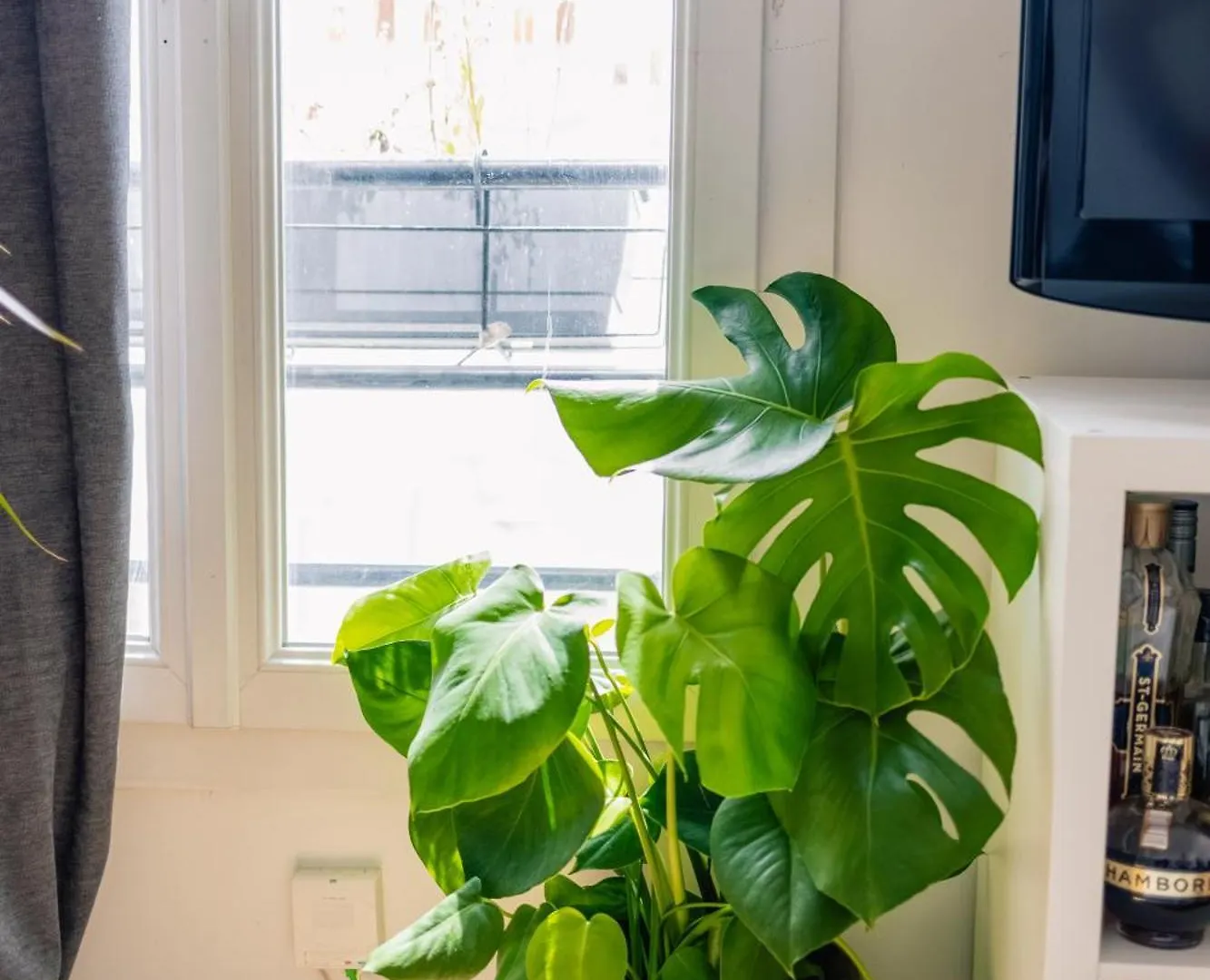 Cedric Lovely Loft Daire Paris